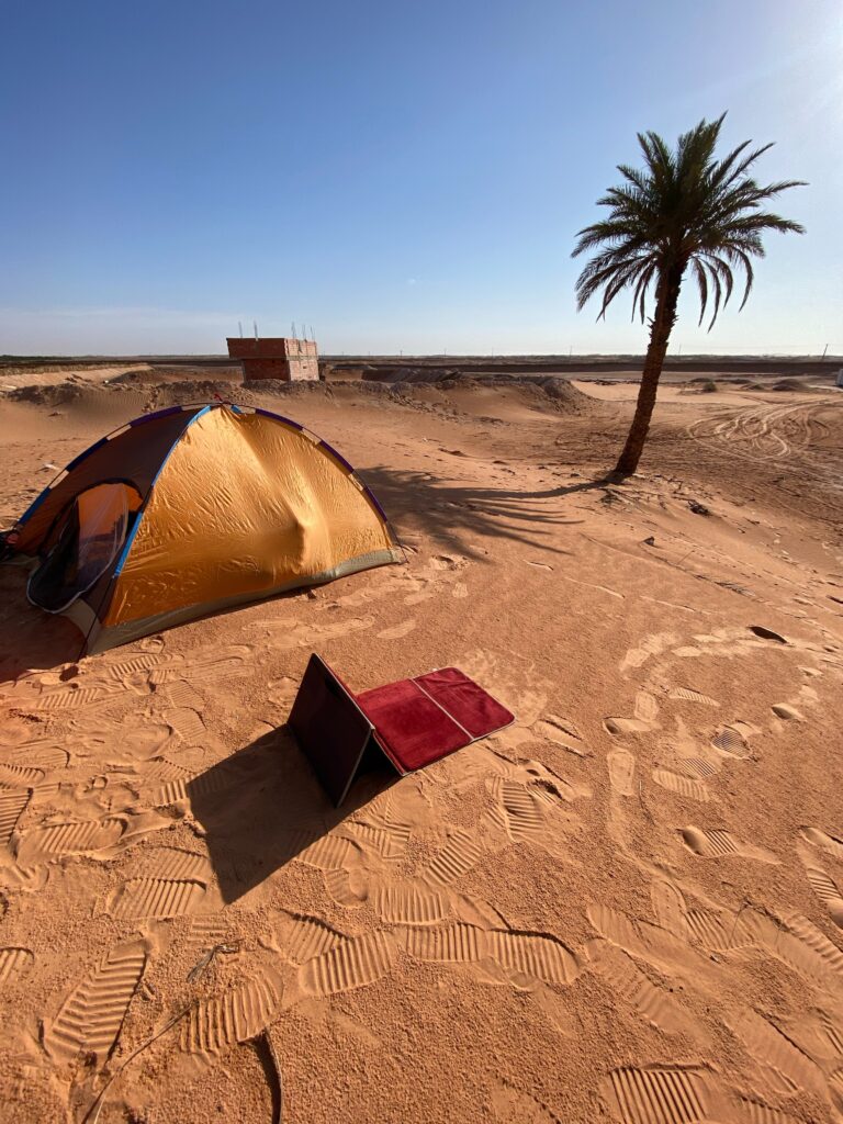 palmboom in woestijn, kamperen in woestijn, tent in zand